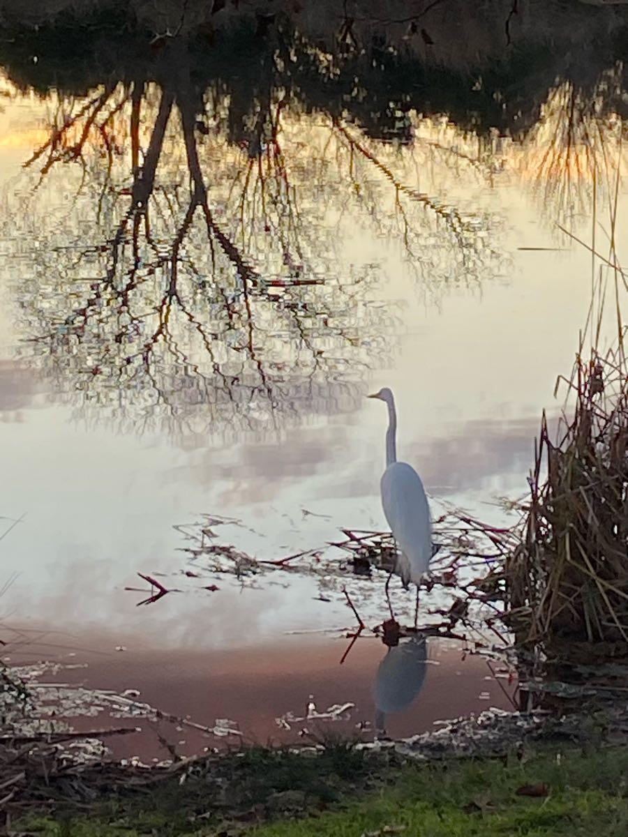 First Sunset Of 2024 At Camden Lake Camden   AA1mGLmL.img