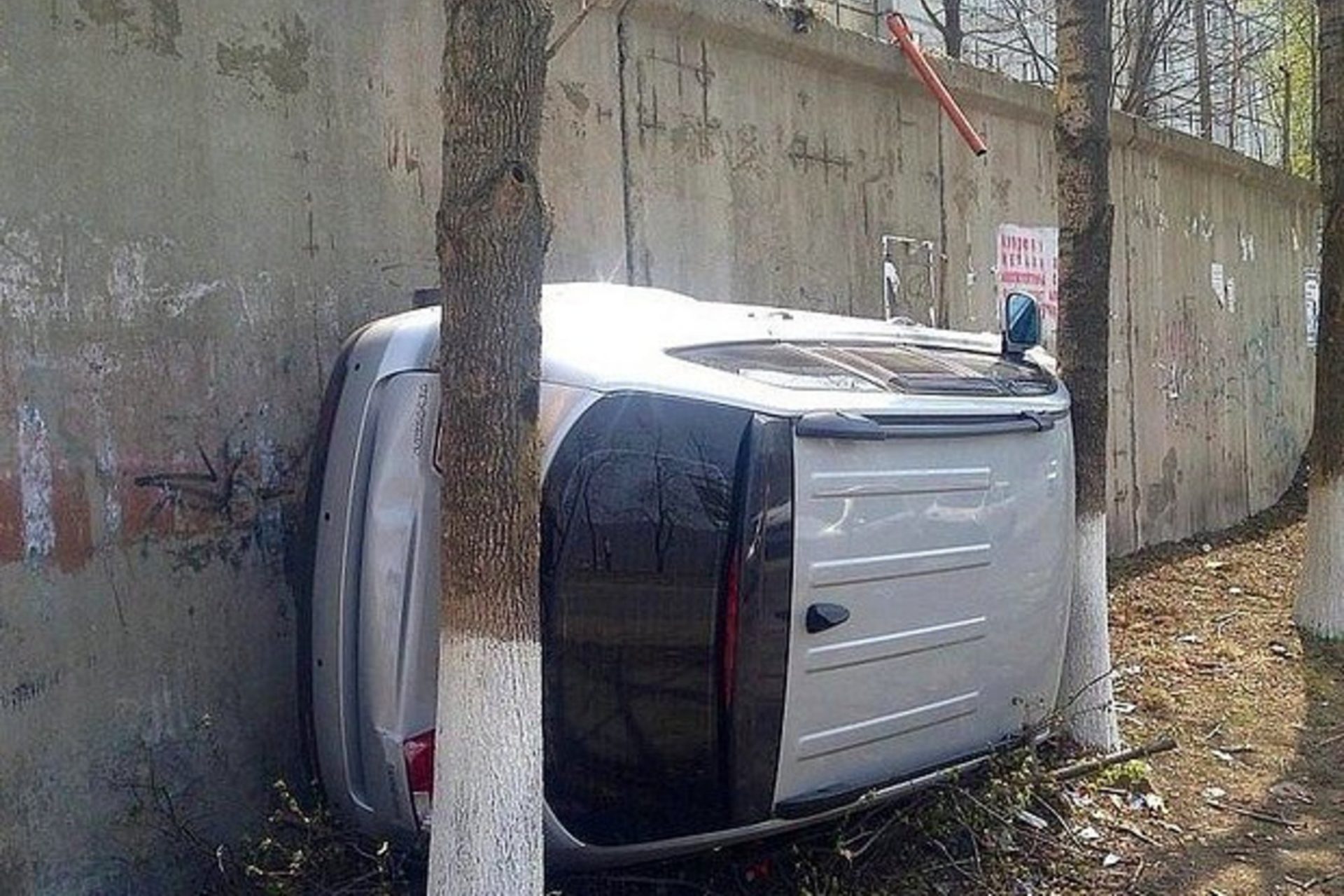 Family Circus by Bil and Jeff Keane