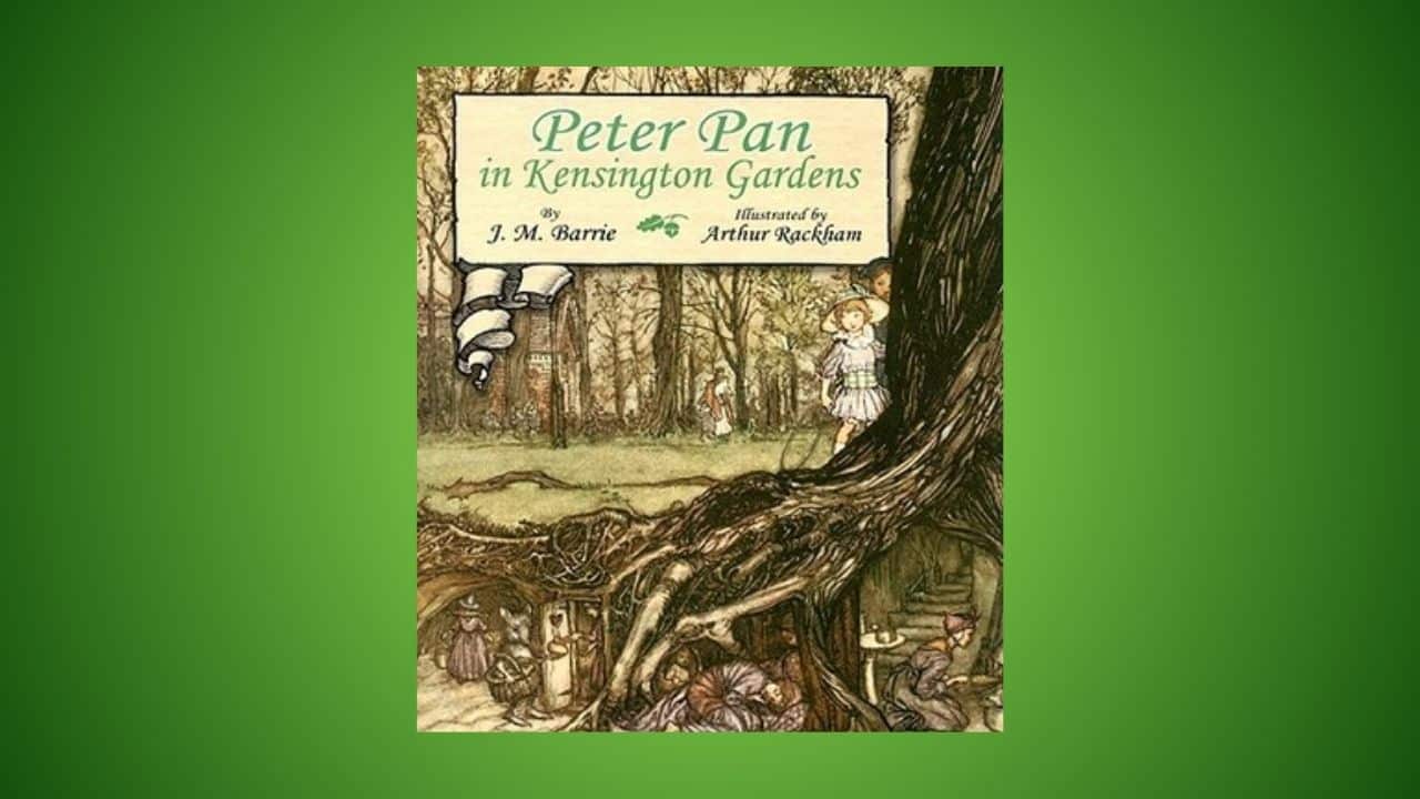 <p>The Character of Peter Pan has been around since 1902. Ever since, the character has been one of the most recognizable heroes, thanks to Disney. This was the first dedicated book to Peter Pan and had illustrations by Arthur Rackham. The book sold at auction for $6,500 in 2015.</p>