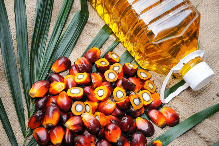 Palm Oil: What's The Problem With It – And Is An Alternative On The Way?