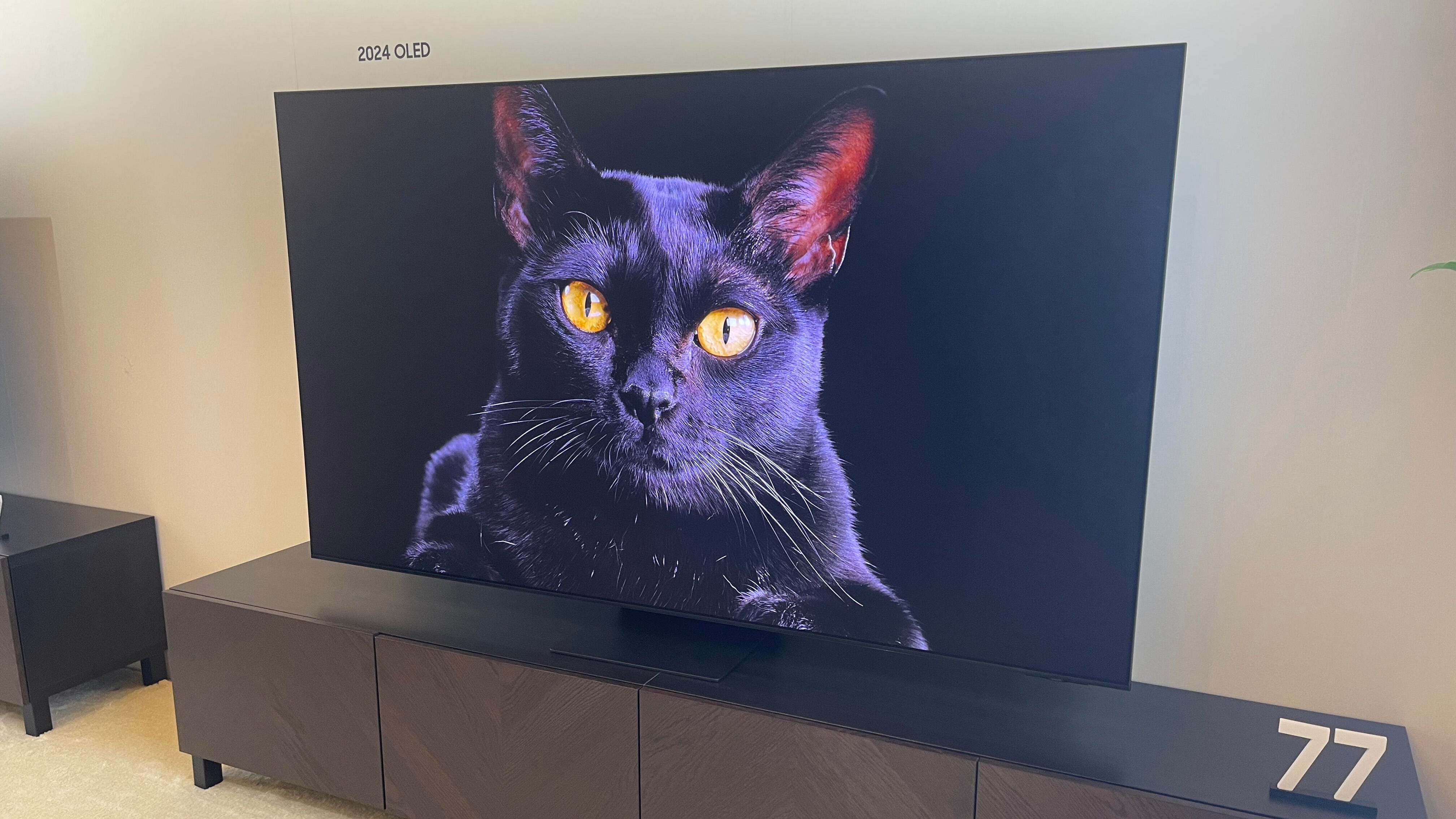 Best TVs Of CES 2024   AA1mGyHm.img