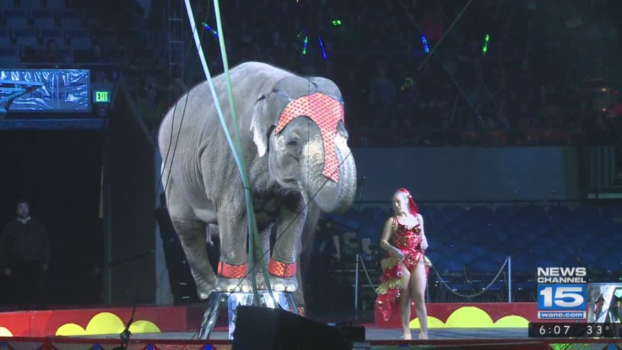 Mizpah Shrine Circus returns to Fort Wayne for 77th year