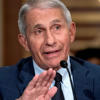 Fauci to Testify Publicly on Pandemic-Era Policies, Covid-19 Origins in June<br>