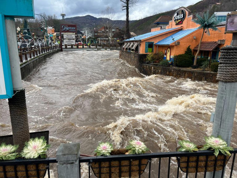 Gatlinburg Flooding January 2024 Today Sadie Collette