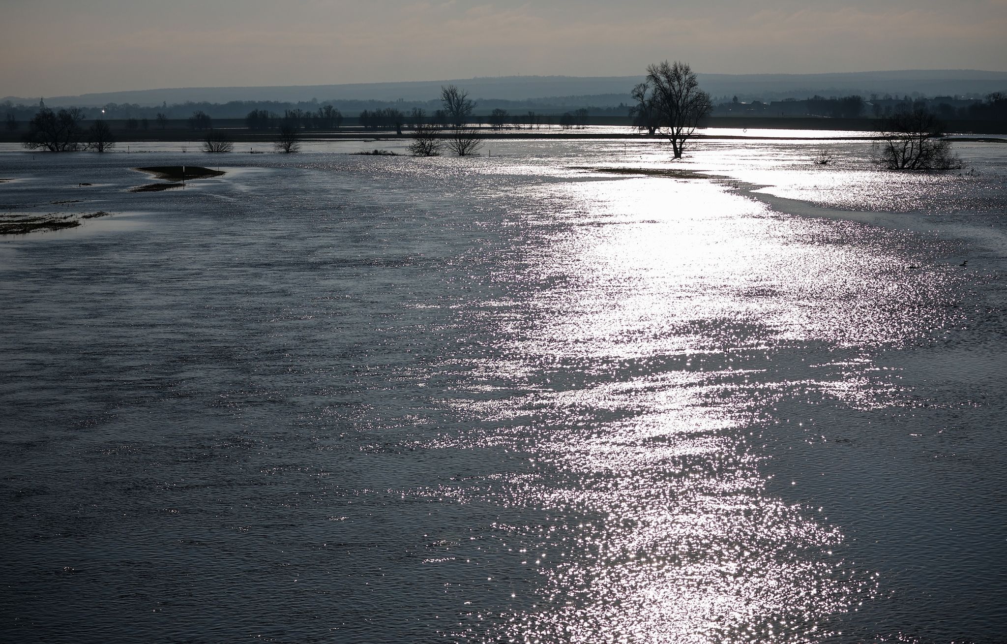 Elbe-Hochwasser Geht Zurück