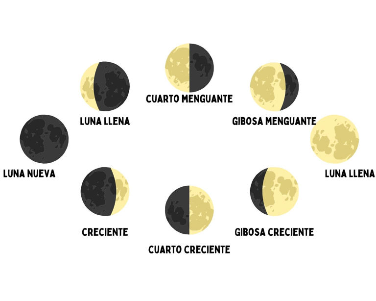 Calendario lunar 2024 ¡Todas las fases lunares a tu alcance!