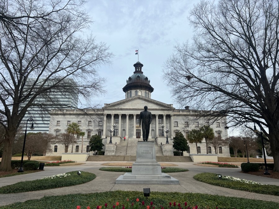 What To Expect During South Carolina S 2024 Legislative Session   AA1mI6ie.img