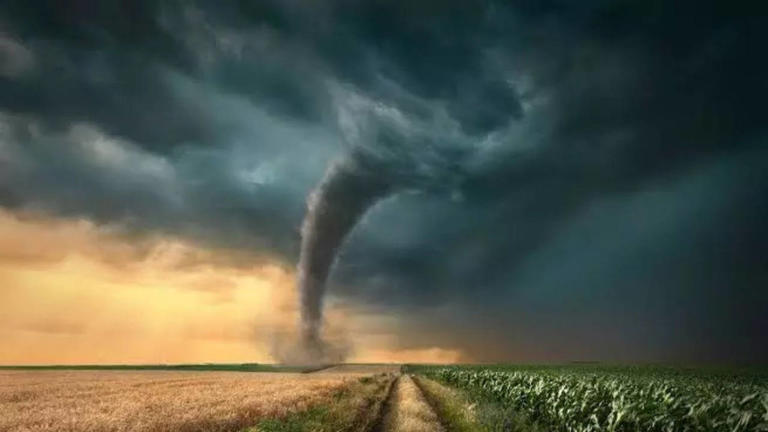 Tornado In Claremont, North Carolina: Twister Possibly Leaves 1 Dead, 2 ...