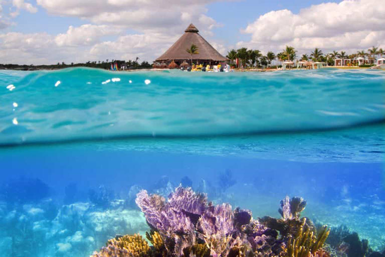 10 Best Snorkel Tours in Cozumel (By a Local 2024)