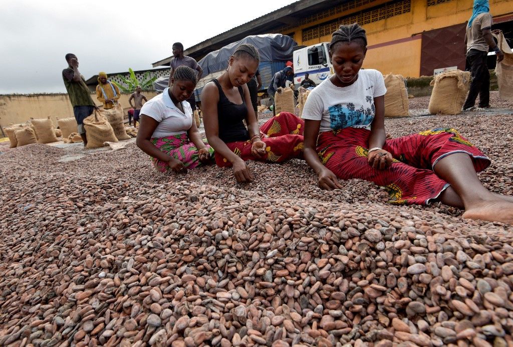 kinderarbeit bei kakao­lieferanten von lindt und sprüngli aufgedeckt