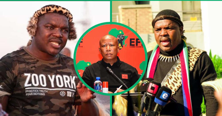 The Real Reason Why Julius Malema Allegedly Approached Ngizwe Mchunu