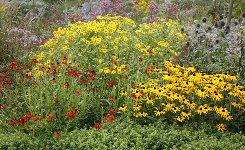 Den Garten selbst planen so gelingt's!