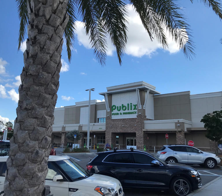Is Publix open, will mail be delivered on Martin Luther King Jr. Day