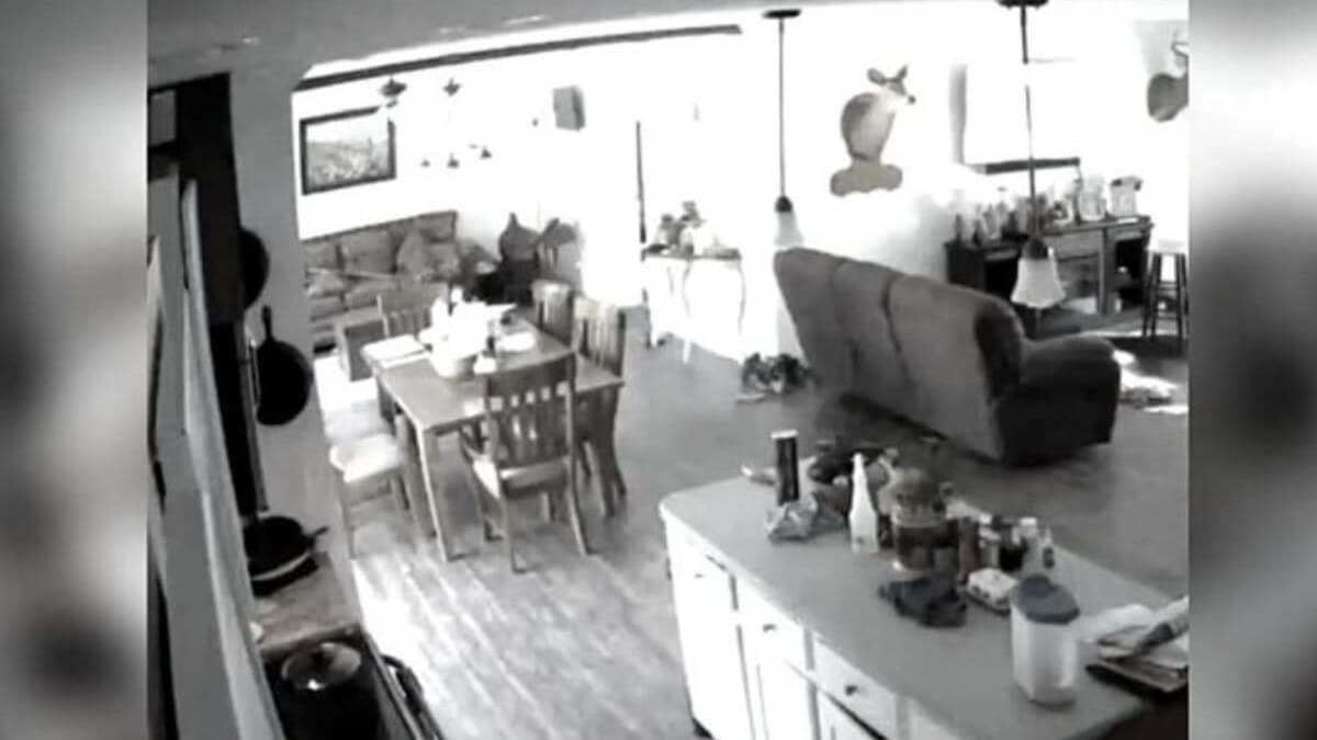 co noc znika jedzenie z kuchni. mężczyzna instaluje kamerę i niemal spada z krzesła, kiedy odkrywa złodzieja