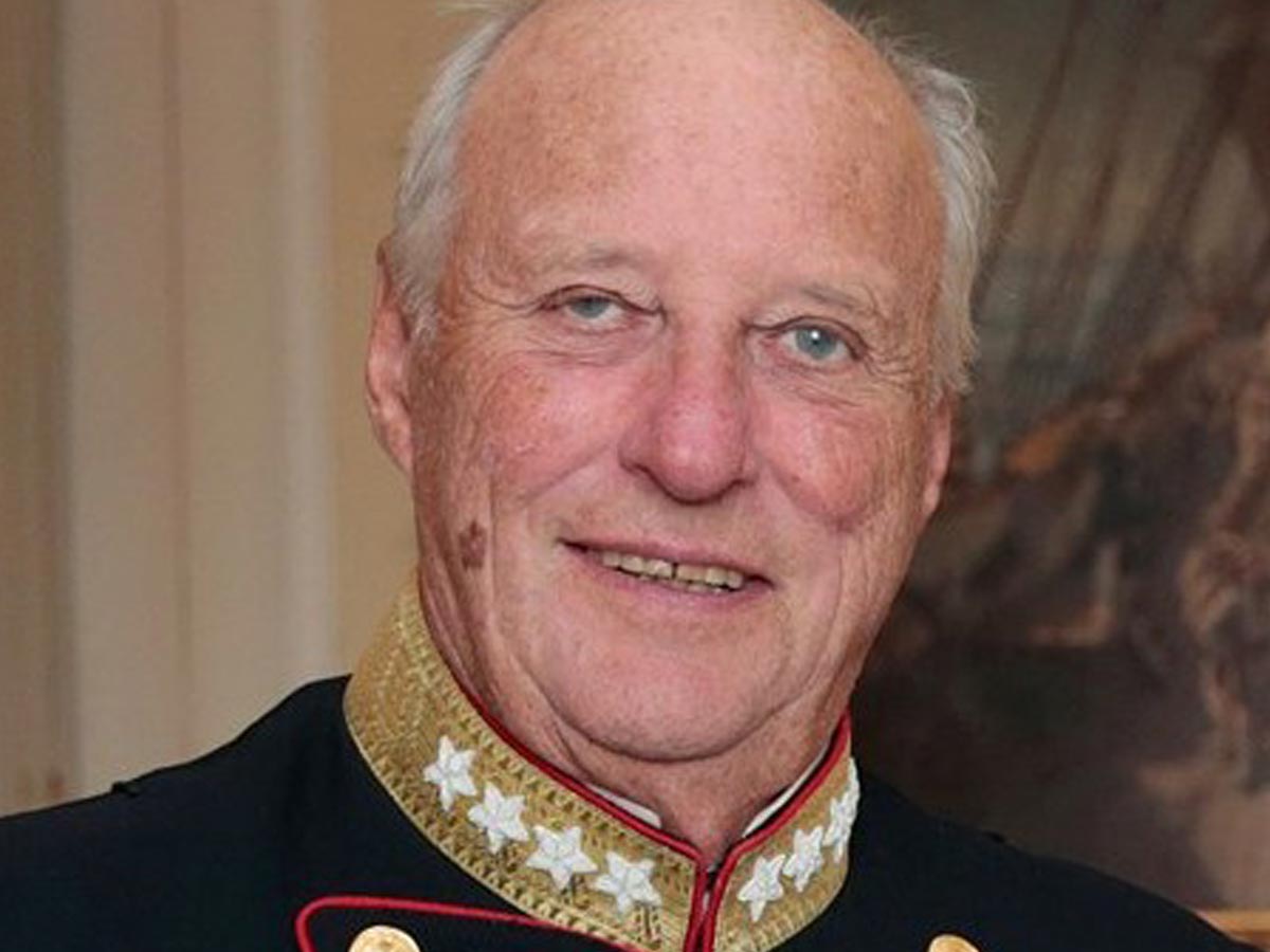 Chicago's Christmas tree recycling program begins Saturday. Here's a