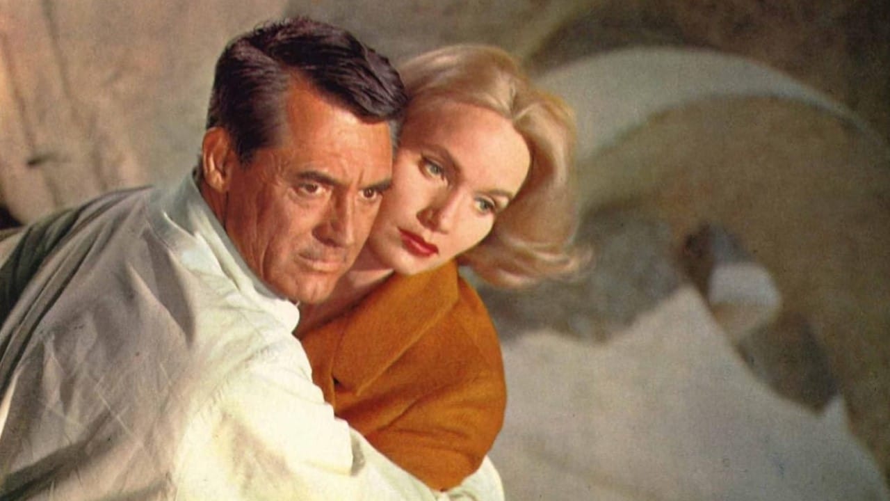 <p><em>North by Northwest</em> is an infamous Hitchcock film that pulls viewers into the world of a New York City advertising executive who is on the run after being mistaken as a government agent.</p>