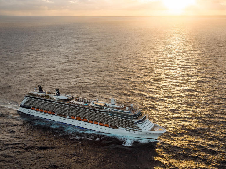 The Best Cruise Deals of Wave Season 2024