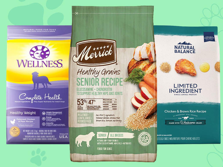 The best dry dog food of 2024, with advice from veterinarians