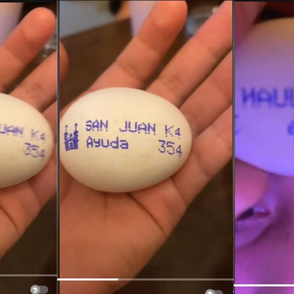 ¿un llamado de auxilio en un huevo? el video viral que causó revuelo en redes sociales