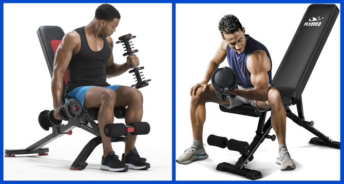 The Top 5 Best Weight Benches For Your Home Gym In 2024   AA1mLXEc.img