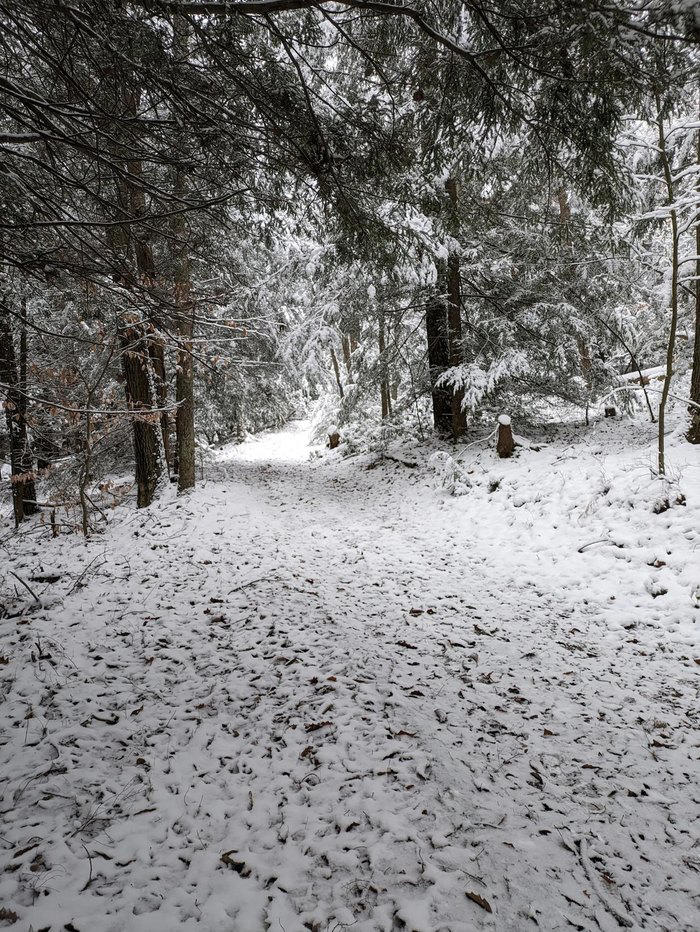 The Cozy Small Town In Maryland That Comes Alive Under A Blanket Of Snow