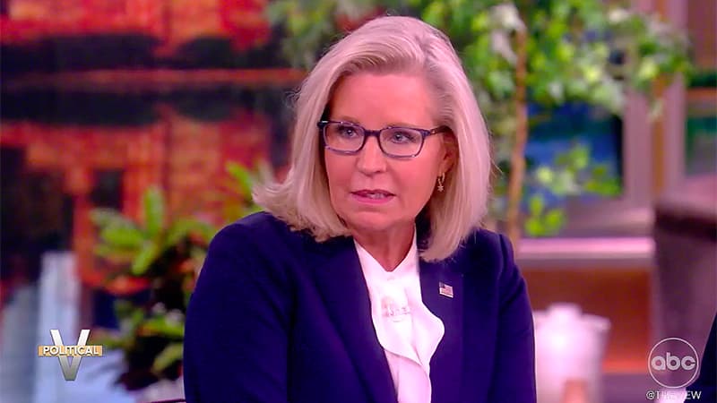 Liz Cheney Says It's Vital GOP Loses Congress: 'Cannot Be In The ...