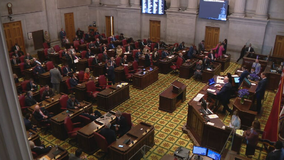 Tennessee Representatives React To New Rule Allowing House To Silence ...