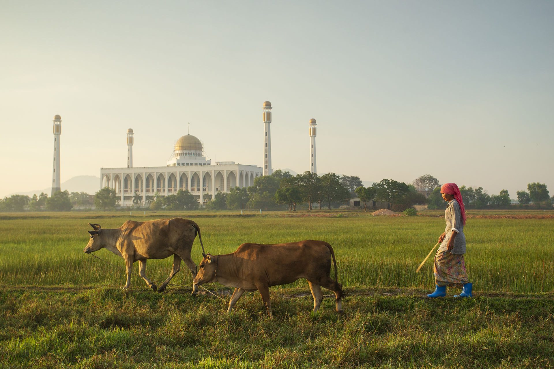 The 5 best ereaders for 2024