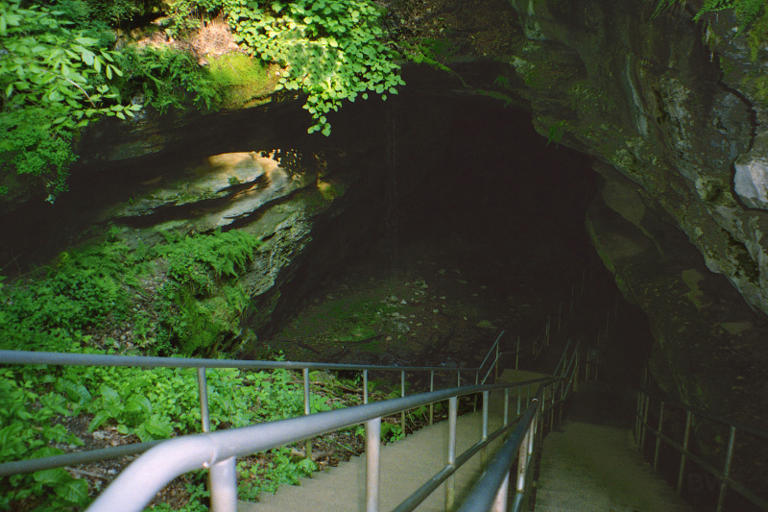 Mammoth Cave is, well, mammoth. It is the longest cave in the world. That’s just one reason to make Mammoth Cave in central Kentucky a stop on your next family...