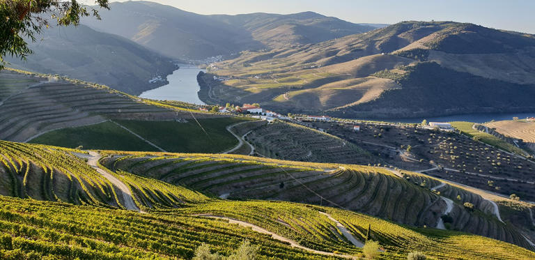 Listed as a UNESCO World Heritage Site, Douro Valley Portugal is the world’s oldest demarcated wine region. Nestled in Northern Portugal, the valley is known for its beautiful lookout points,...