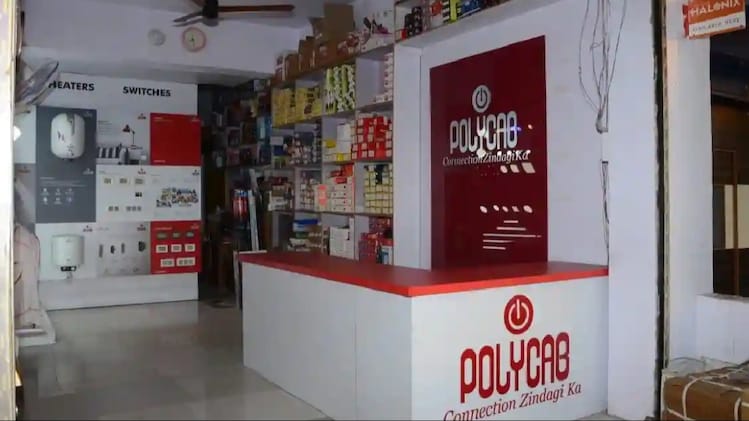 'if you aren't diversified in india, you're a fool': finfluencer warns retail investors as polycab falls 20%