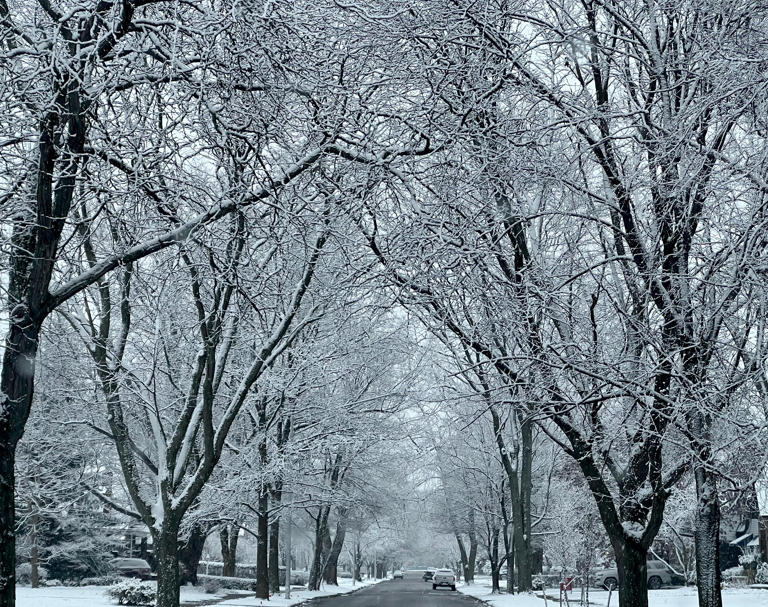 Storm expected to dump 68 inches of snow in Michigan, weather