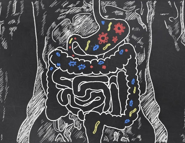 Boosting butyrate-producing gut bacteria lowers hospitalization rates ...