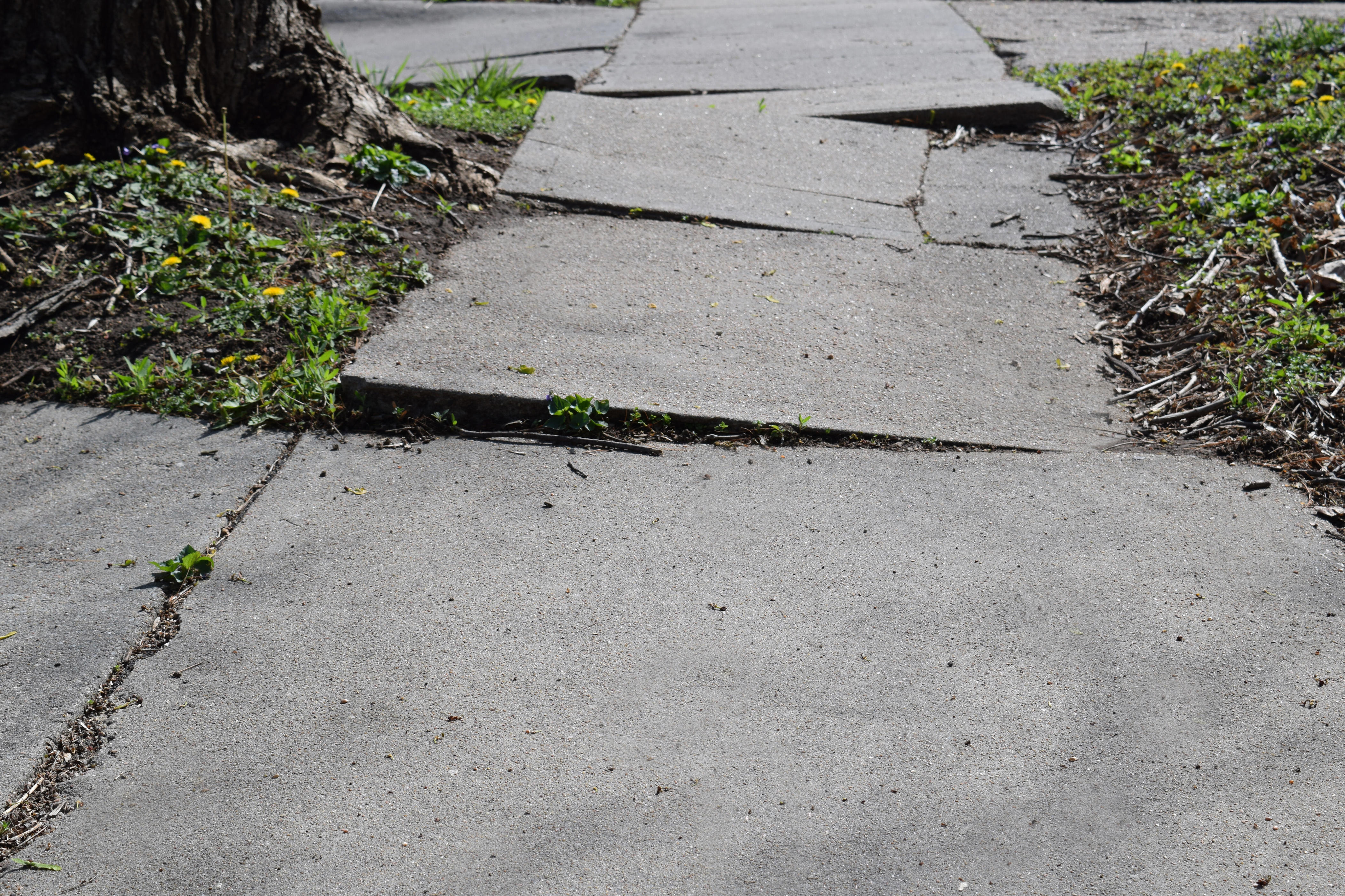 Public broken. Pavement sidewalk иконка. Тротуар корень. Sat on the sidewalk. Concrete sidewalk.