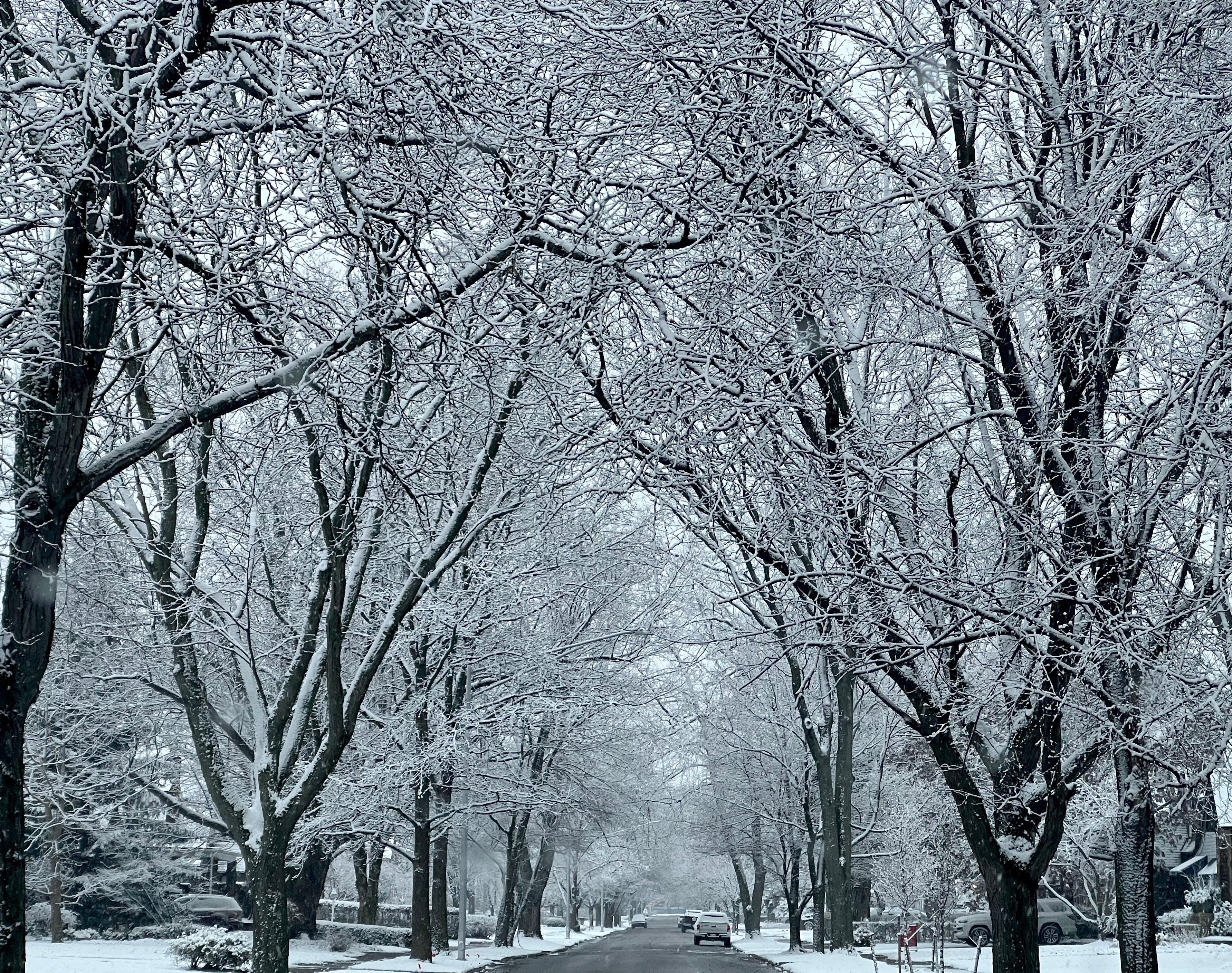 Michigan Snowfall Predictions: See How Much Your Area Could Get During ...