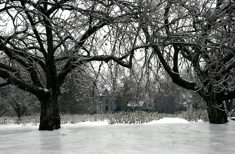 As blizzard slams Oregon mountains, will Portland, Salem or Eugene see ...