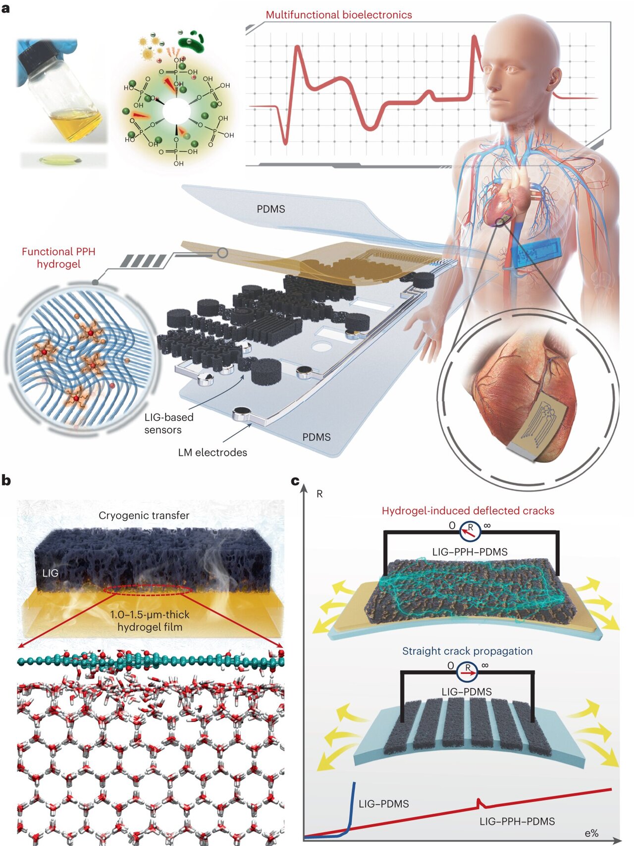 Transferring Laser-induced Graphene At Extremely Low Temperatures For ...