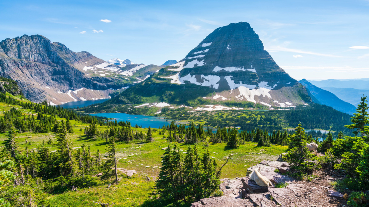 <p>Do your vacation plans involve visiting our wonderful national parks? The annual pass for the national parks currently costs $80. Some national parks have a $35 entrance fee and others have per-person surcharges, so the pass easily pays for itself after a few visits, and it’s good for all the national parks.</p>