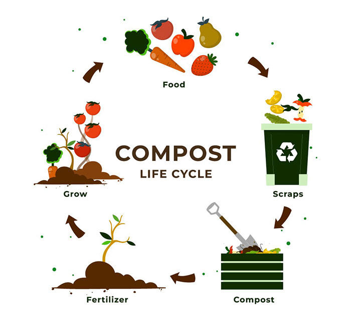 What Is Composting And How To Do It (In Simple Terms)