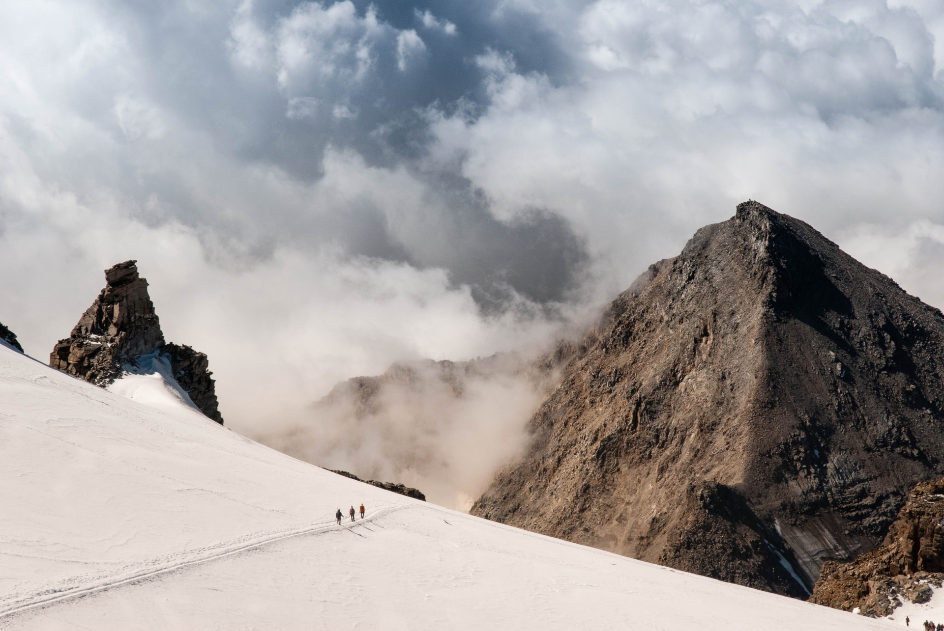 Non sequitur by wiley miller