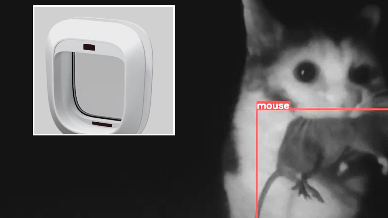 Flappie, la primera puerta inteligente para gatos, potenciada por IA