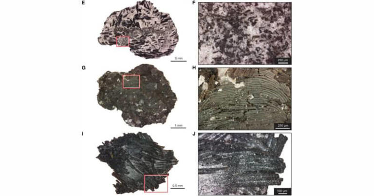 Fossilized Reptile Skin Found In Oklahoma Is 21 Million Years Older