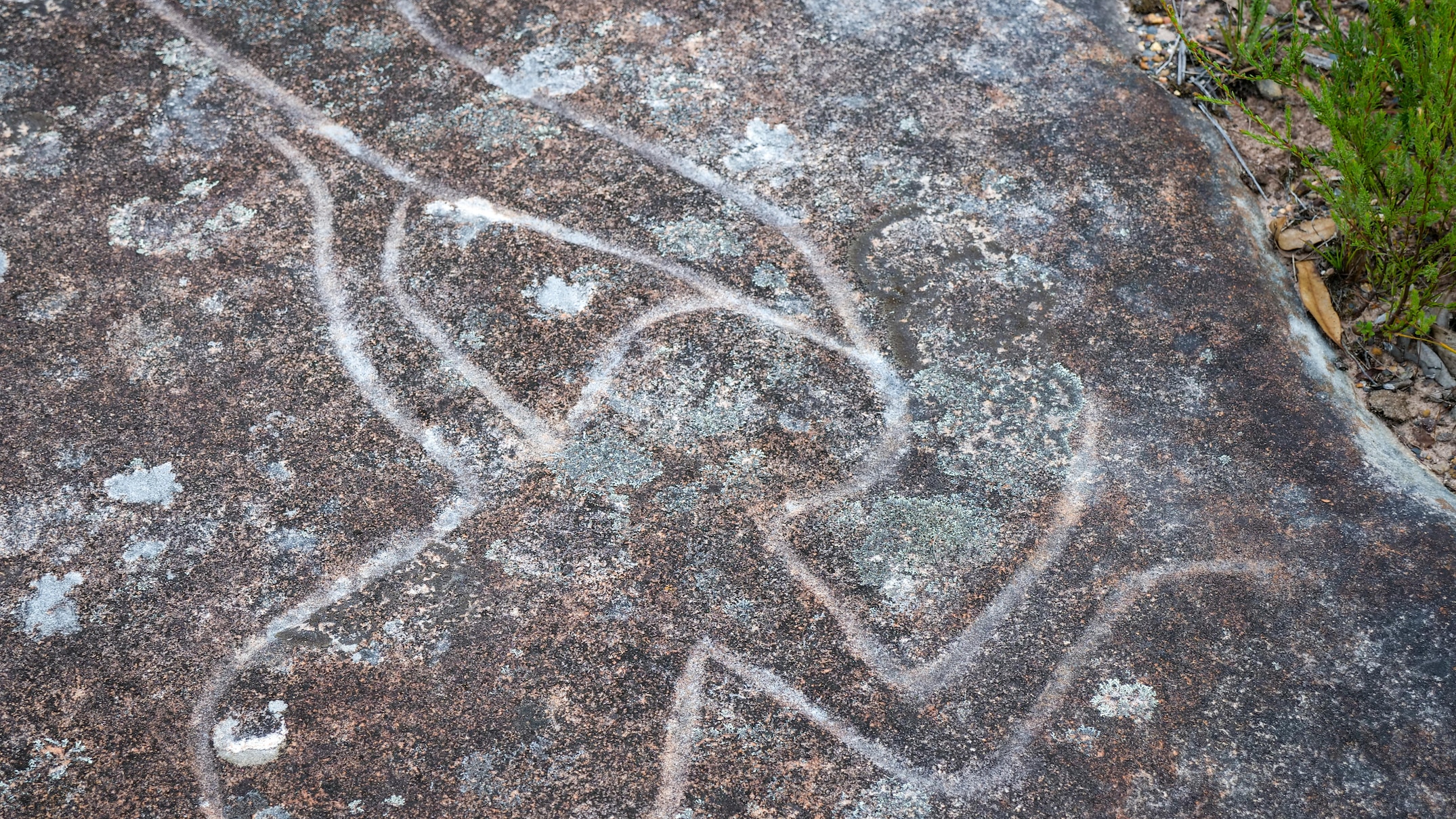 Bulgandry Aboriginal art site vandalised for a second time in Brisbane Water National Park at ...