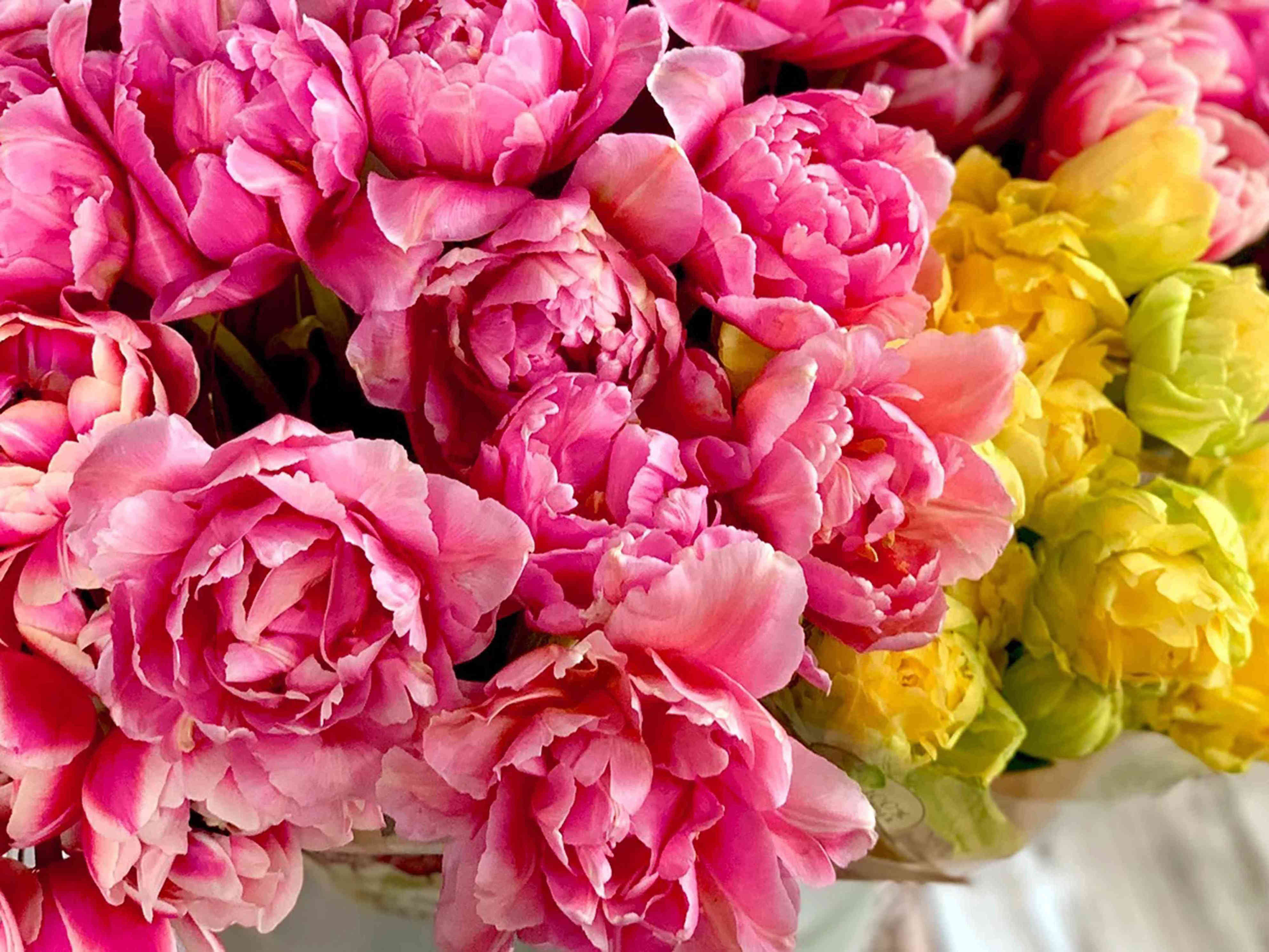 They May Not Be In Season, But You Can Still Get Your Peony Fix at ...