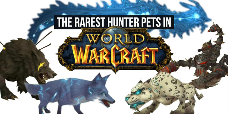 Rarest Obtainable Hunter Pets In World Of Warcraft