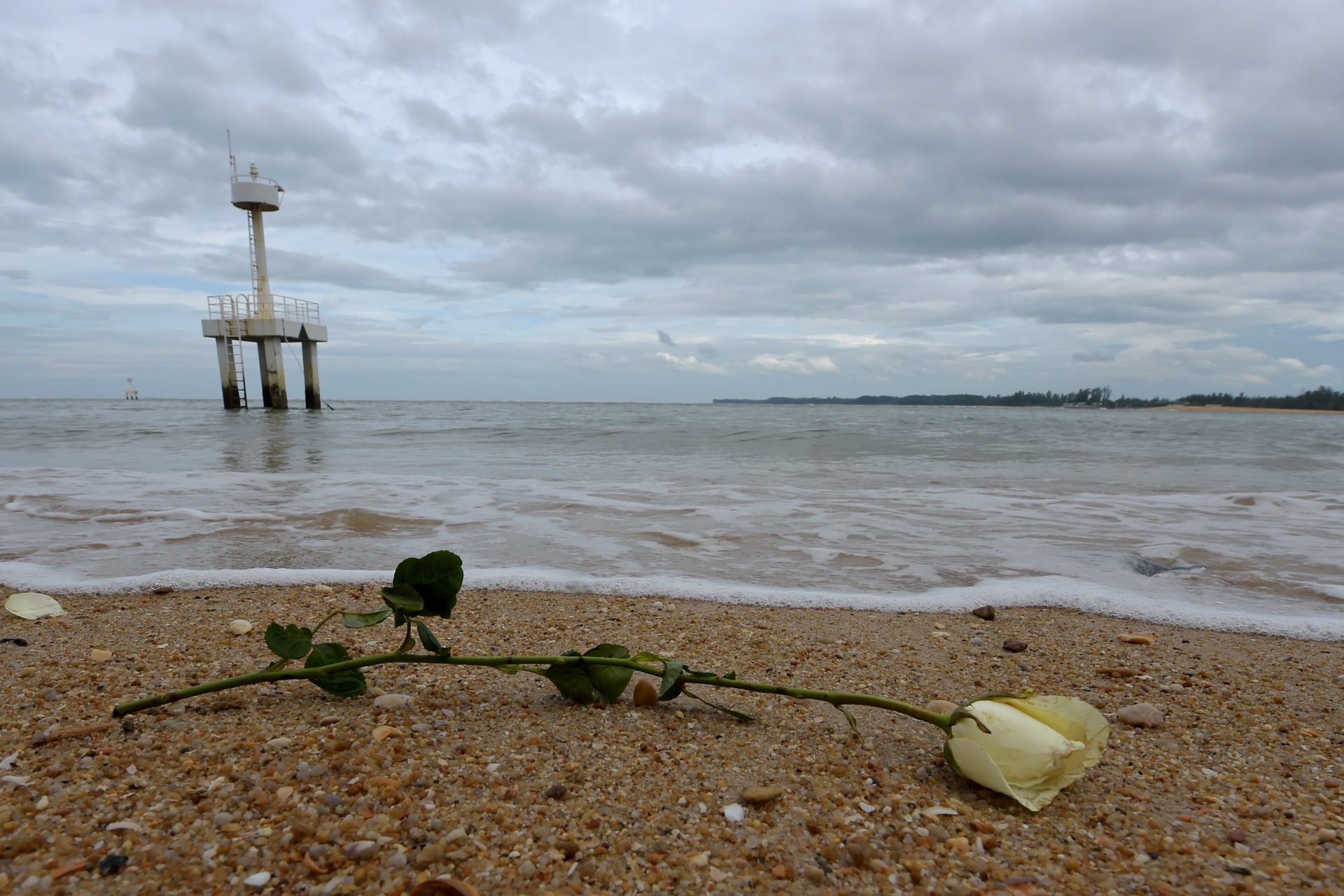 うるう年は縁起が悪い？：うるう年に発生した大事件の数々