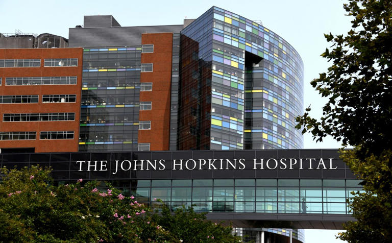 Johns Hopkins’ diversity chief labels whites, males and Christians as ‘privileged’