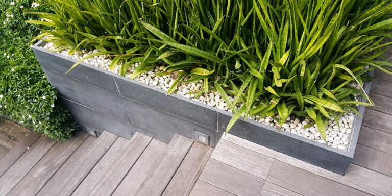 Planter Boxes: Inspiring Ideas For Your Outdoor Space