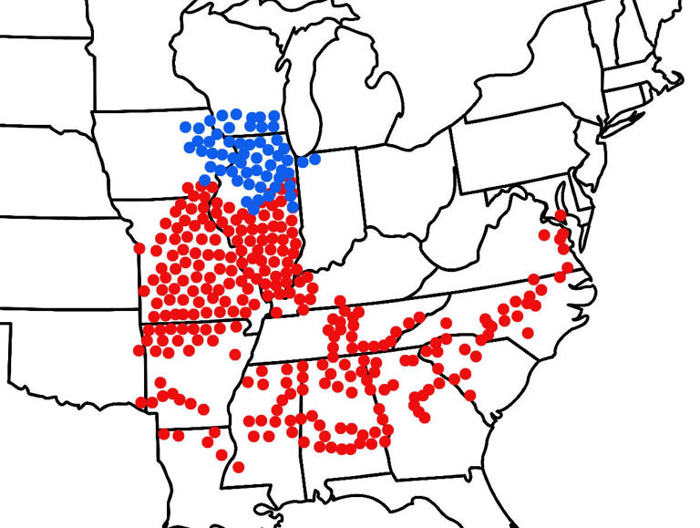 Illinois Cicada Brood Map 2024 Shane Darlleen