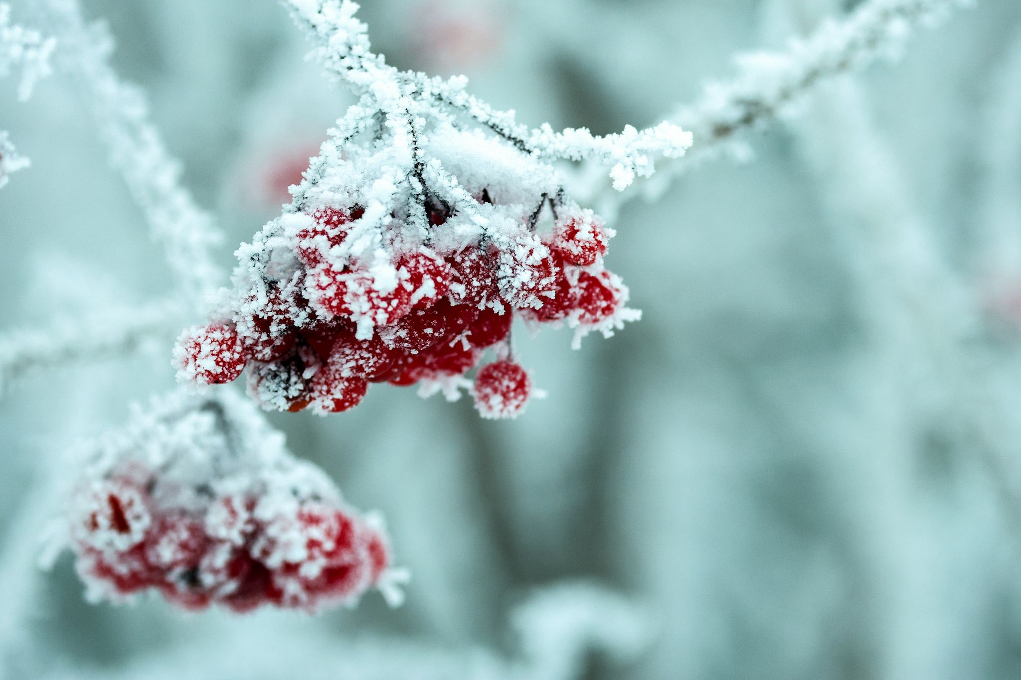 leichter frost in hessen: gefrierender regen möglich